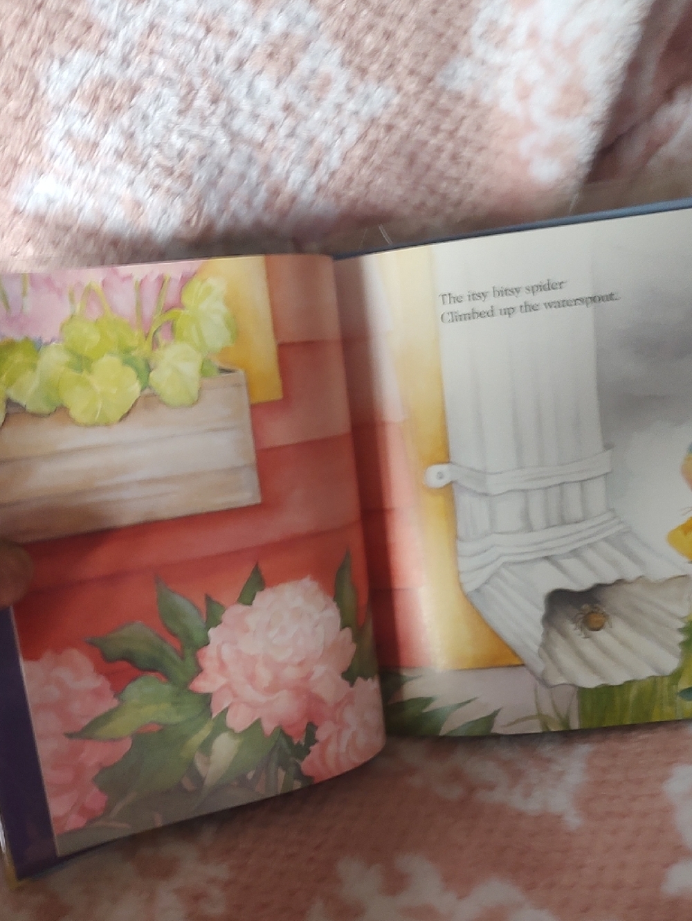 The Itsy Bitsy Spider - Illustrated Children’s Book/1993 - Picture 6 of 10